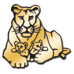 Logo of Русское сообщество WISE